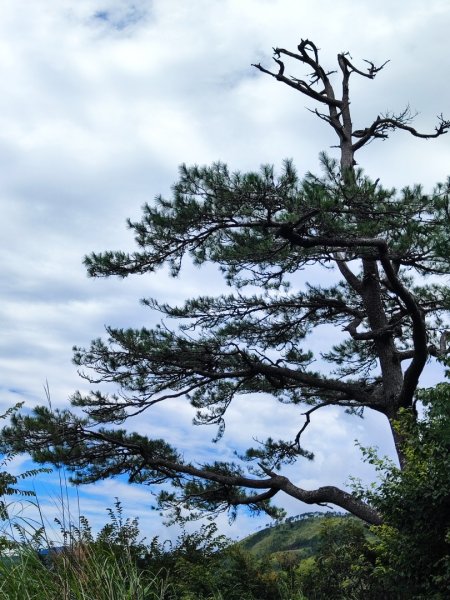 南湖群峰五天四夜2871880