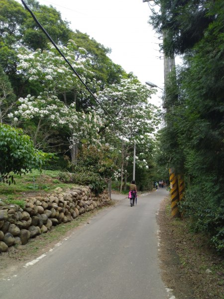 三義 挑炭古道(三通嶺古道)936062