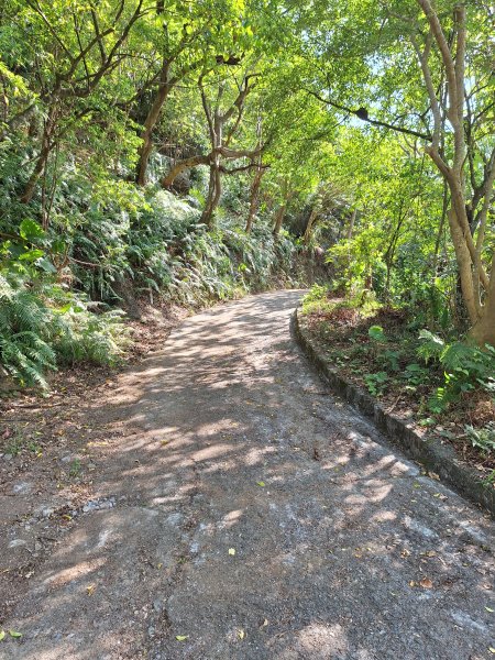 粉鳥林+蛇山步道+東岳湧泉+南方澳戲水202408112573789