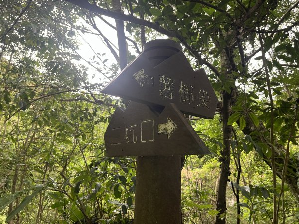 [微笑山線_ 第十段] 2025_0914 五分山系_菁桐煤礦段2889848