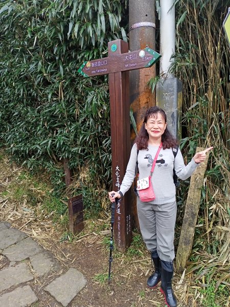 【臺北大縱走 2】鞍部→大屯群峰→清天宮1276307