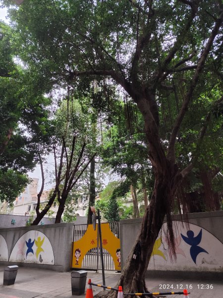 永樂國小、湖光教會、大港墘公園、撫順公園2673006