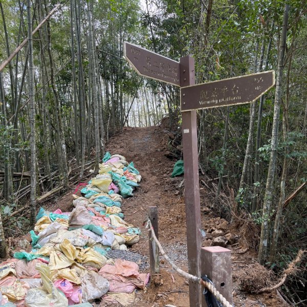 20250821_後尖山（南投小百岳）2941156