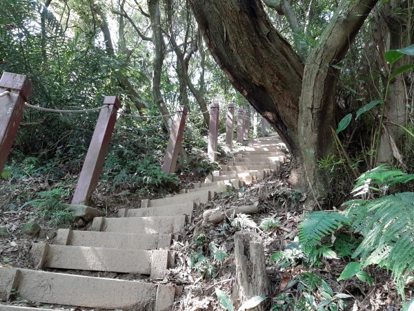 小百岳 No.19鳶山 6.基隆山1122608