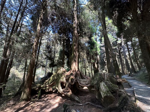 最高的小百岳大塔山2081577