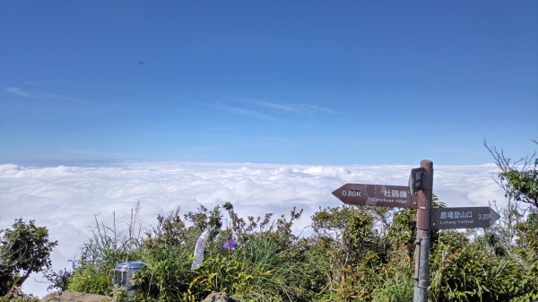 加里山的 360度的雲海661612