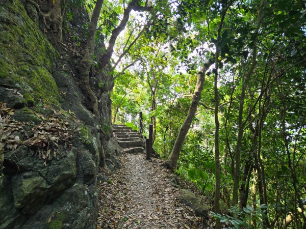 龍麟山步道2748674