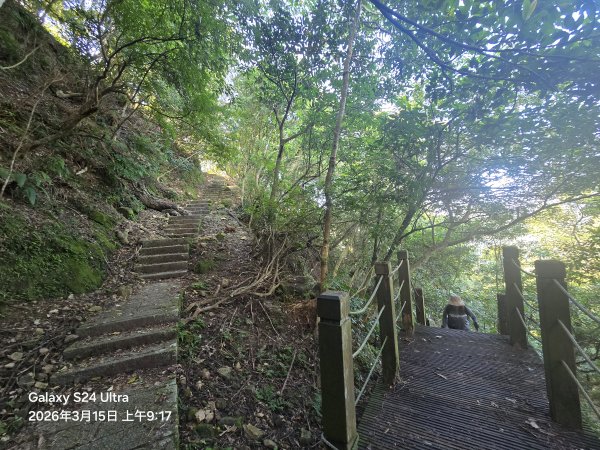 2026-03-15微笑山線：【二格山系】皇帝殿稜線段3016092