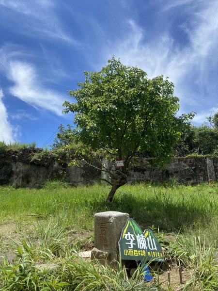 2025.6.28 煤源上李崠山經八五山 O型2824318