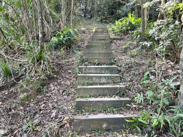 暖東峽谷步道2949291