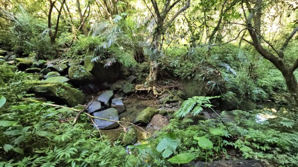 【淡蘭古道中路】崩山坑古道全段＆虎豹潭野餐2572652