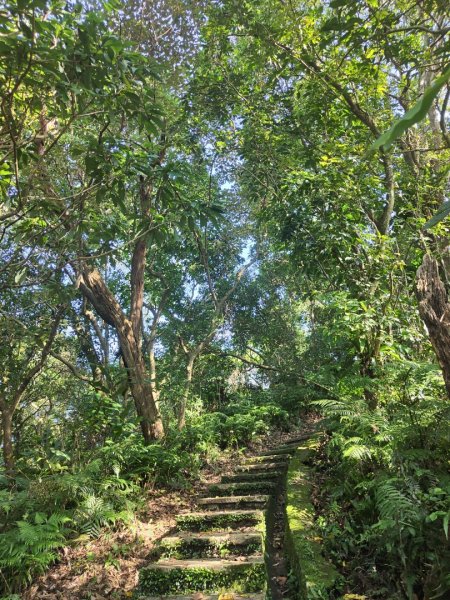 2023.12.08 土庫岳2695262