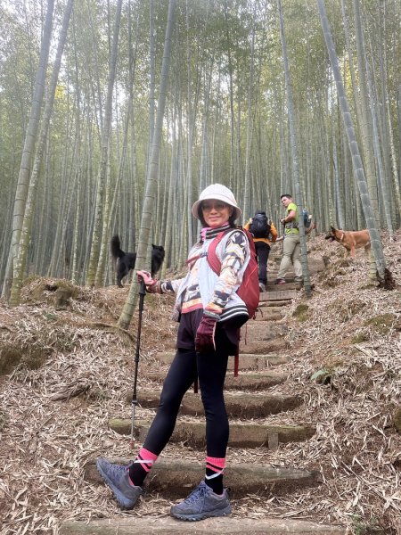 嘉南雲峰、九穹神木3014467