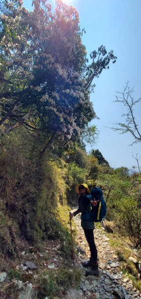 202414~15歷經2年抽籤終於蒞臨台灣最高峰玉山西、北、主峰2481779