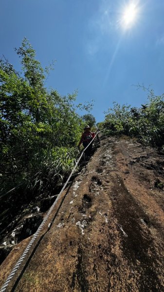 孝子山、普陀山、慈母峰賞鹿子野百合O走2592913