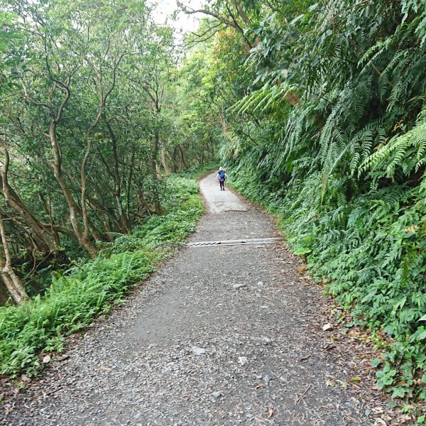 聖母登山步道561415