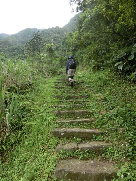 猴硐．小粗坑古道．九份126496