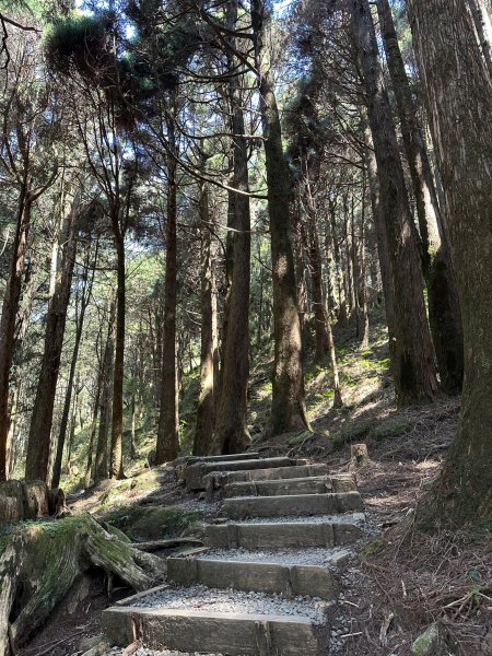 最高的小百岳大塔山2081574