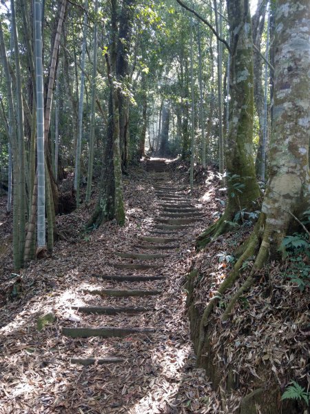 石壁山(小百岳#55)及嘉南雲峰。穿越武俠電影場景之孟宗竹林區1363338