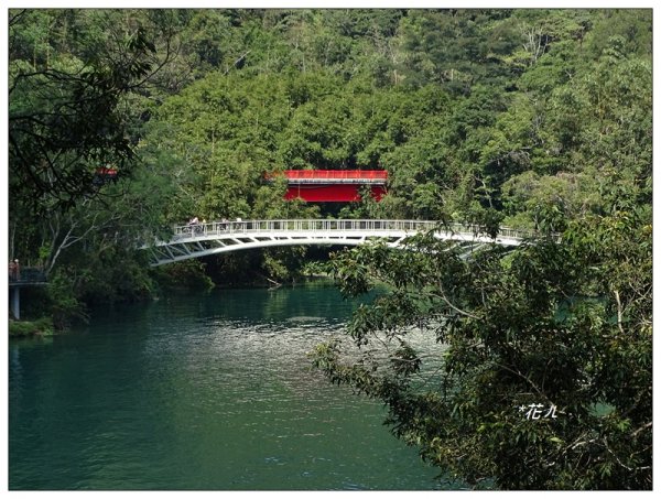 日月潭/向山環湖步道725259