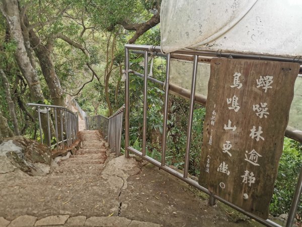 田中森林登山步道-依山稜線而建且景觀良好1048140