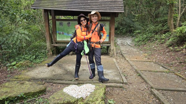 今年最美賞桐花秘境，瑪西賞桐步道，基隆七堵富民親水公園對岸。瑪陵坑溪秘境，台版亞馬遜雨林，苓蘭生態公2782128