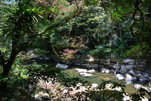 灣潭古道深潭之美&願山友發揮愛心護持百年土地公廟1788982