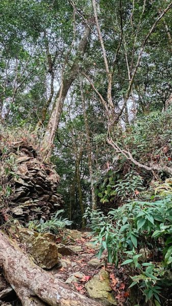 2025 12/27 鳴海山2971002