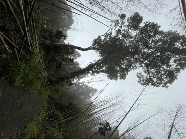 20230924_大湖尖山、大凍山（嘉義縣小百岳）2762739