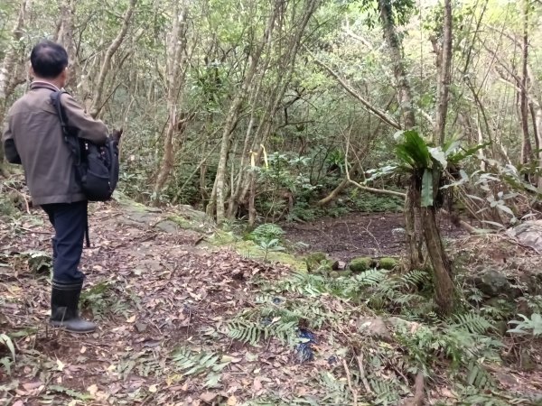 頭城鎮外大溪山+七兄弟山+窖寮山O型3015999