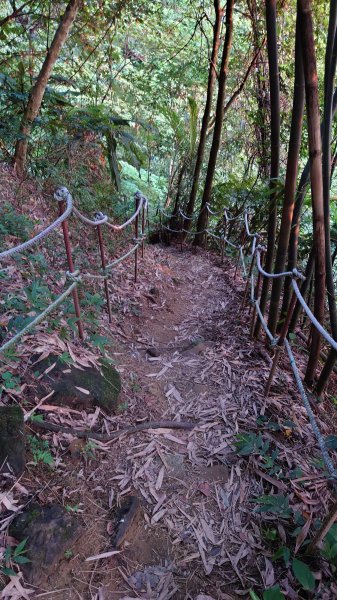 臺北大縱走第六段1779613