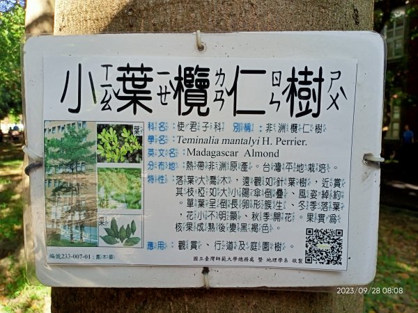 師大公園、師大本部 (國立臺灣師範大學和平校區) 【走路趣尋寶、健康大穀東】2298584