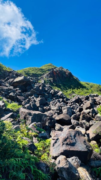 無耳茶壺山步道2878424
