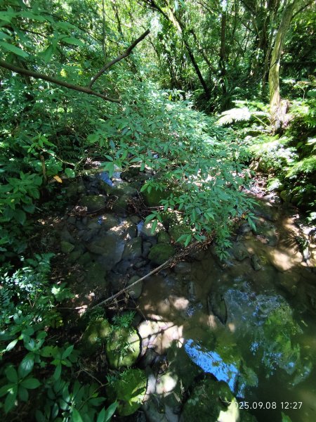 【臺北大縱走 7】2-2 指南宮貓空親山步道→壺穴步道→茶展中心步道→大成殿步道→指南宮竹柏參道2881863