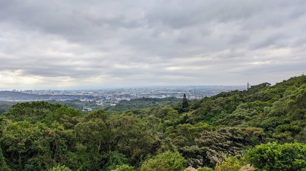 大古山登山步道2365643