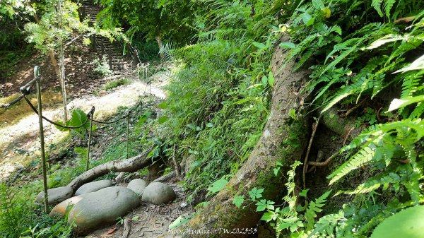 《台中》心靈雞湯｜大肚萬里長城登山步道O繞202507052827447