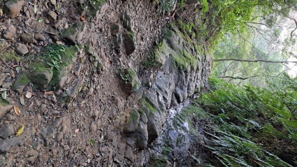 二格山登山步道草湳線2574078