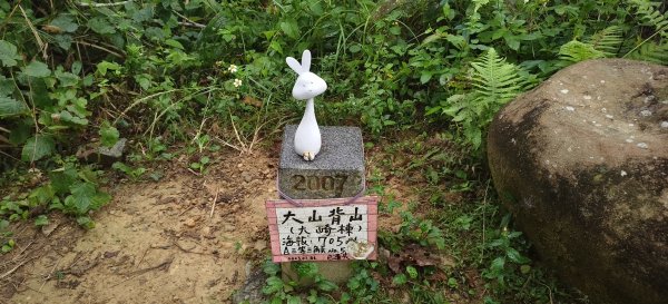 2025/11/02_大崎棟古道+騎龍古道+逃學步道2929058