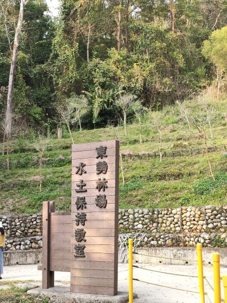 東勢林場森林浴場步道3019109