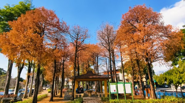 #花卉試驗中心 #永公路500巷 #平菁街42巷 #原住民公園 #士林官邸 1/42980338