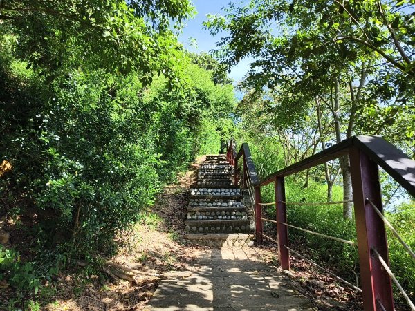 [漫遊縱谷 愛在花東-01/10] 2025_1011 大武觀海步道2912903