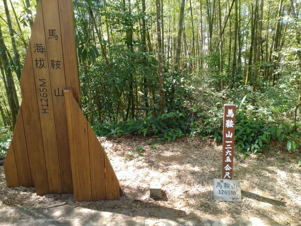 2023-05-28 雲嘉六連峰2166228