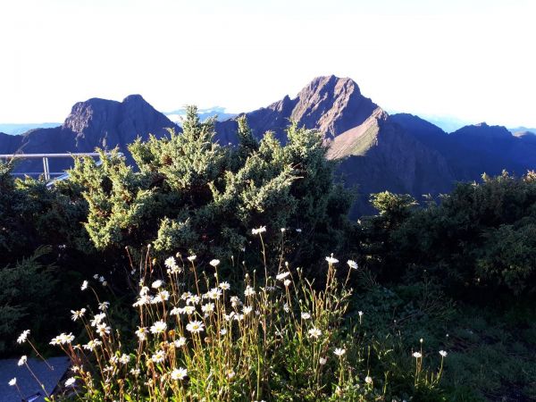 玉山~西、北、主峰413169