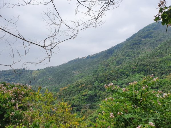 獨立山（小百岳）1148305