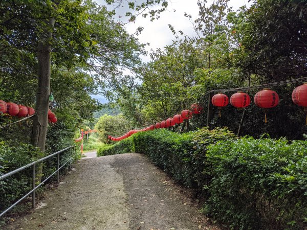 樹林到鶯歌(大同山青龍嶺大棟山鶯歌石)1083850