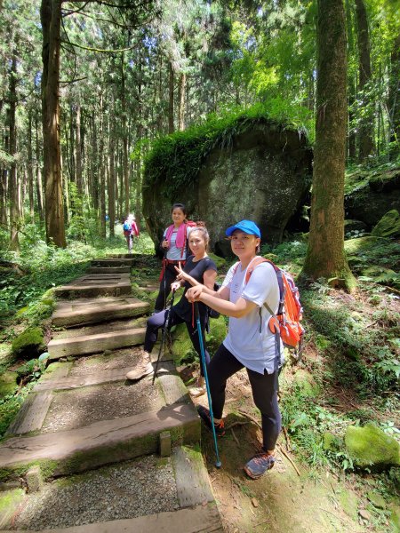 【嘉義|大凍山】多林-頂湖走1010187