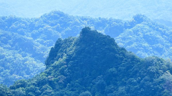 磐石嶺,鳥嘴尖,姜子寮山,姜子寮絕壁2863536