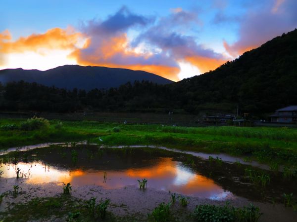 【心靈療癒】陽明山頂湖環狀步道182905