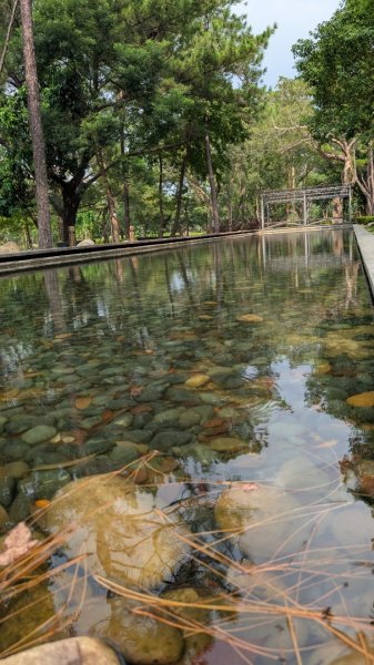 大湳森林公園2879731