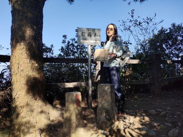 1110116 大坑四，五，三之一號步道O型一圈1584041